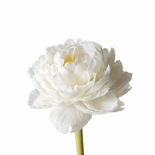 Candle Garden - Peonix