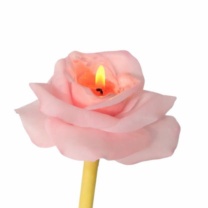 Candle Garden - Roselle