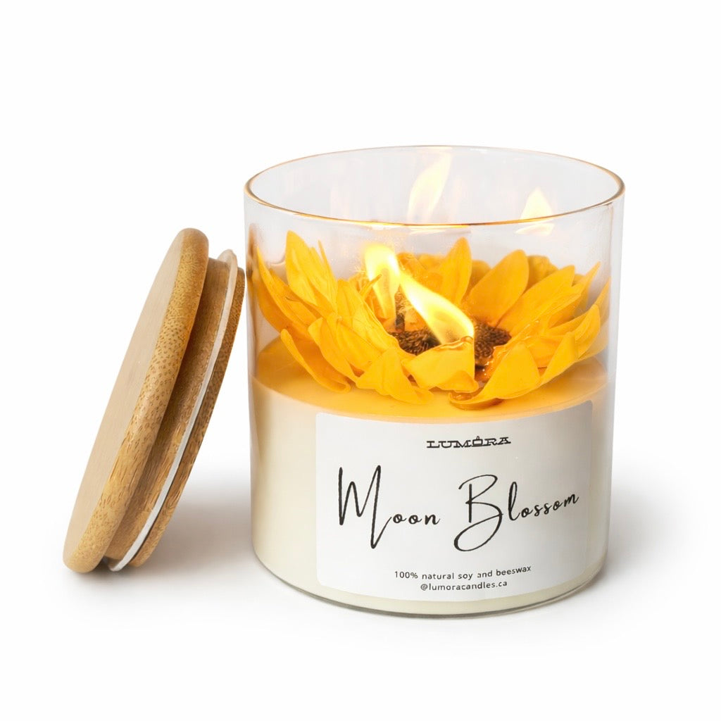 Moon Blossom - Sunflower Halo (21.5 oz glass jar candle)