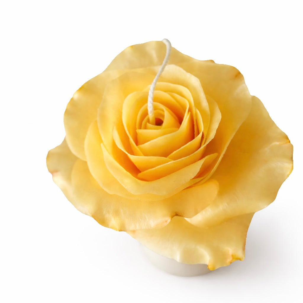 Candle Garden - Roselle