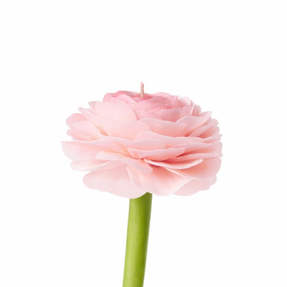 Candle Garden - Ranula