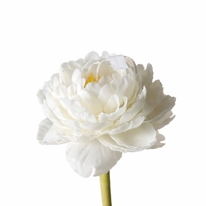 Candle Garden - Peonix