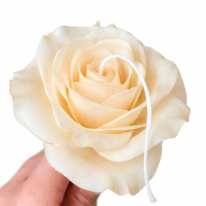 Candle Garden - Roselle