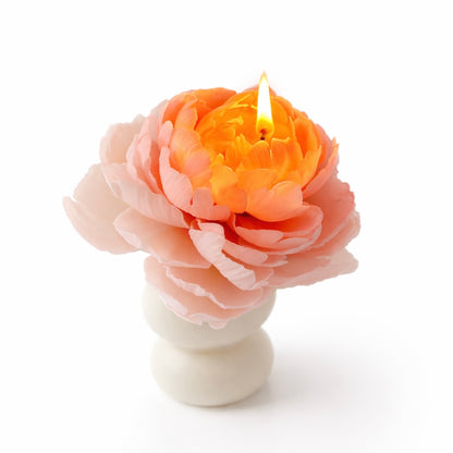 Candle Garden - Peonix