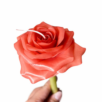 Candle Garden - Roselle