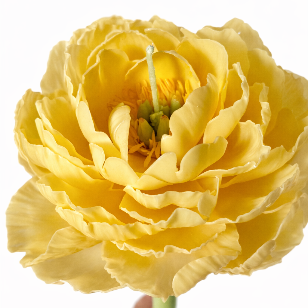 Candle Garden - Peonix