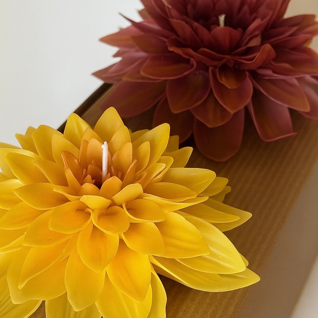 Two flowers, one yellow and one maroon, on a wooden surface.