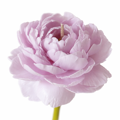 Candle Garden - Peonix